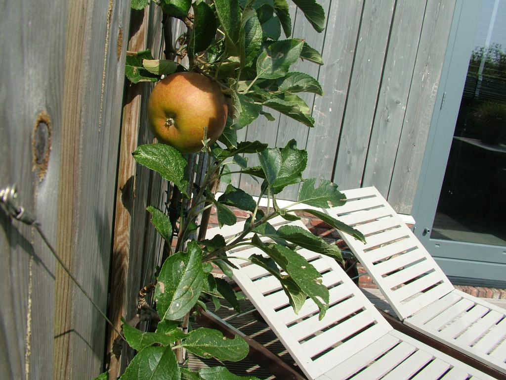 De Greenhouse Apartman Amszterdam Kültér fotó