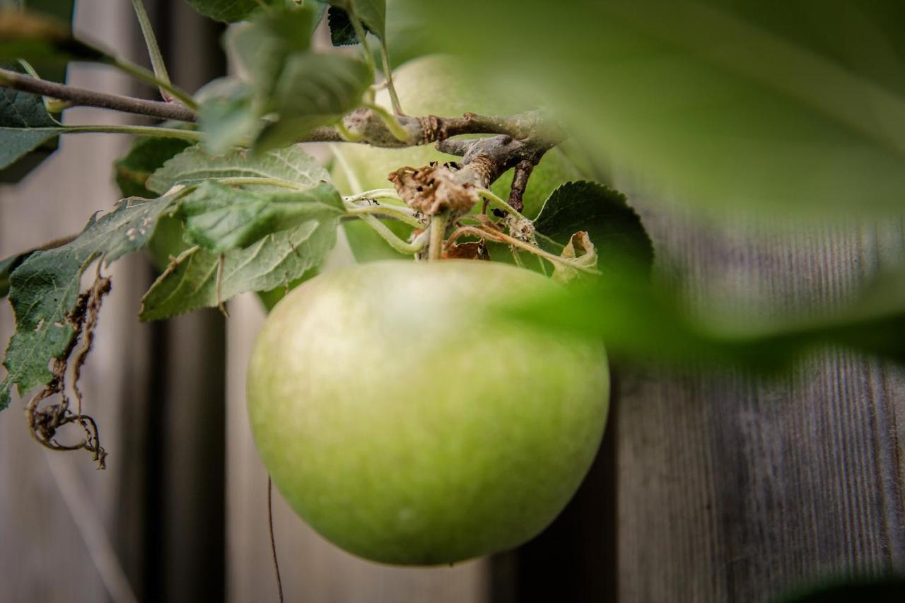 De Greenhouse Apartman Amszterdam Kültér fotó